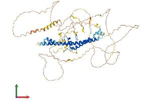 Protein Structure (PS) image for CREB3 Regulatory Factor (CREBRF) (AA 1-639) protein (His tag) (ABIN7546837)