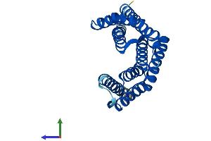 Protein Structure (PS) image for 14-3-3 gamma (YWHAG1) (AA 1-247) protein (His tag) (ABIN7542933)