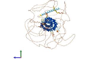 Protein Structure (PS) image for Catenin (Cadherin-Associated Protein), delta 2 (Neural Plakophilin-Related Arm-Repeat Protein (CTNND2) (AA 1-1225) protein (His tag) (ABIN7553603)