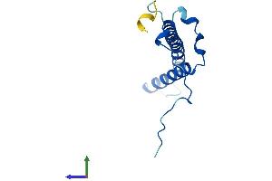 AlphaFold protein structure predicition of Human Recombinant NDUFC2 Protein, UniprotID O95298