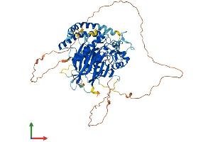 Protein Structure (PS) image for Sphingomyelin Phosphodiesterase 3 (SMPD3) (AA 1-655) protein (His tag) (ABIN7554809)