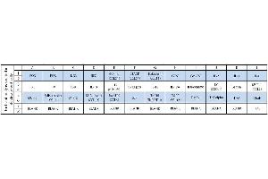 Image no. 1 for Mouse Cytokine Array C2 (ABIN625639) (小鼠 Cytokine Array C2)