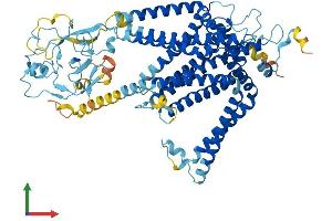 Protein Structure (PS) image for Solute Carrier Family 44, Member 4 (SLC44A4) (AA 1-710) protein (His tag) (ABIN7546848)