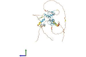 Protein Structure (PS) image for Zinc Finger Protein 362 (ZNF362) (AA 1-420) protein (His tag) (ABIN7545319)