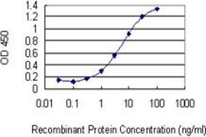 Detection limit for recombinant GST tagged ZNF10 is 0. (ZNF10 抗体  (AA 1-98))