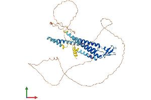 AlphaFold protein structure predicition of Mouse Recombinant Gja10 Protein, UniprotID Q9WUS4