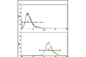 Flow Cytometry (FACS) image for anti-CCR4-NOT Transcription Complex, Subunit 8 (CNOT8) (AA 227-255), (C-Term) antibody (ABIN390421)