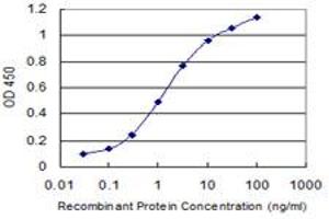 Detection limit for recombinant GST tagged DAZAP1 is 0. (DAZAP1 抗体  (AA 308-407))