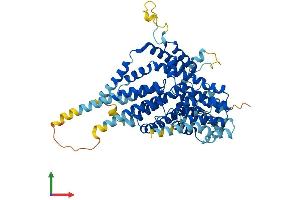 Protein Structure (PS) image for Solute Carrier Family 13 Member 5 (SLC13A5) (AA 1-568) protein (His tag) (ABIN7555295)
