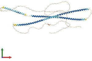 AlphaFold protein structure predicition of Mouse Recombinant Krt77 Protein, UniprotID Q6IFZ6
