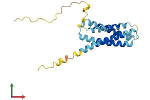 Protein Structure (PS) image for CKLF-Like MARVEL Transmembrane Domain Containing 6 (CMTM6) (AA 1-183) protein (His tag) (ABIN7560774)