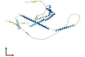 Protein Structure (PS) image for SWI/SNF Related, Matrix Associated, Actin Dependent Regulator of Chromatin, Subfamily E, Member 1 (SMARCE1) (AA 1-411) protein (His tag) (ABIN7562449)
