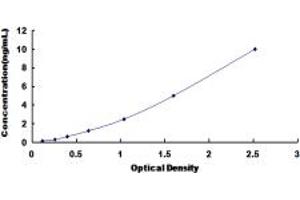 Typical standard curve (ARHGEF7 ELISA 试剂盒)