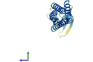 Protein Structure (PS) image for Peripheral Myelin Protein 22 (PMP22) (AA 1-161) protein (His tag) (ABIN7562907)