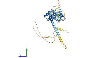 AlphaFold protein structure predicition of Human Recombinant LMX1B Protein, UniprotID O60663