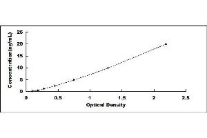 Typical standard curve (PKC gamma ELISA 试剂盒)