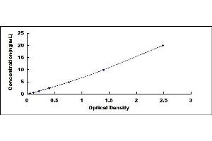 Typical standard curve (LIFR ELISA 试剂盒)