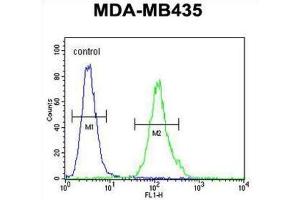 Flow Cytometry (FACS) image for anti-Membrane-Spanning 4-Domains, Subfamily A, Member 4 (MS4A4A) antibody (ABIN2995855) (MS4A4A 抗体)