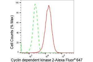 Flow cytometric analysis of Cyclin dependent kinase 2 expression in HepG2 cells using Cyclin dependent kinase 2 antibody (ABIN7798211), 1:2,000). (Recombinant CDK2 抗体)