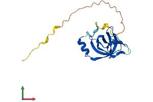 Protein Structure (PS) image for Cold Shock Domain Containing C2, RNA Binding (CSDC2) (AA 1-154) protein (His tag) (ABIN7560115)