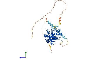 AlphaFold protein structure predicition of Human Recombinant TRMT10A Protein, UniprotID Q8TBZ6