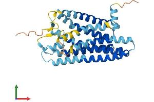Protein Structure (PS) image for Olfactory Receptor, Family 2, Subfamily C, Member 1 (OR2C1) (AA 1-312) protein (His tag) (ABIN7550454)