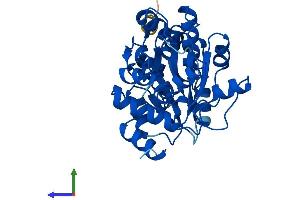 Protein Structure (PS) image for Serine Dehydratase-Like (SDSL) (AA 1-329) protein (His tag) (ABIN7545933)