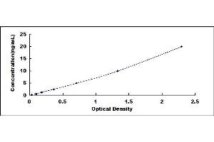 Typical standard curve (IRAK1 ELISA 试剂盒)