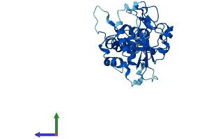 Protein Structure (PS) image for ST3 beta-Galactoside alpha-2,3-Sialyltransferase 6 (ST3GAL6) (AA 1-331) protein (His tag) (ABIN7546091)