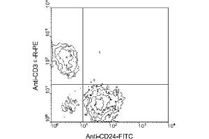 Flow Cytometry (FACS) image for anti-CD24 Molecule (CD24) antibody (FITC) (ABIN370873)