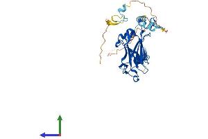 AlphaFold protein structure predicition of Mouse Recombinant Traf1 Protein, UniprotID P39428