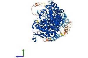 Protein Structure (PS) image for Adenosine Monophosphate Deaminase 1 (AMPD1) (AA 1-745) protein (His tag) (ABIN7557343)