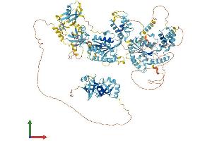 Protein Structure (PS) image for Peroxisomal Biogenesis Factor 1 (PEX1) (AA 1-1283) protein (His tag) (ABIN7554908)