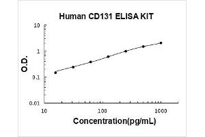 Colony Stimulating Factor 2 Receptor, Beta (CSF2RB) ELISA Kit