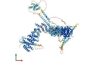 Protein Structure (PS) image for Non-SMC Condensin I Complex, Subunit D2 (NCAPD2) (AA 1-1401) protein (His tag) (ABIN7553476)
