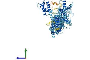 Protein Structure (PS) image for Cullin 2 (CUL2) (AA 1-745) protein (His tag) (ABIN7564986)