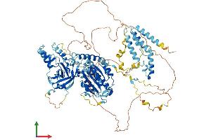 Protein Structure (PS) image for Integrator Complex Subunit 6 (INTS6) (AA 1-883) protein (His tag) (ABIN7564111)