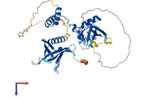 AlphaFold protein structure predicition of Mouse Recombinant Sharpin Protein, UniprotID Q91WA6