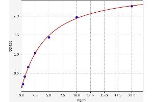 Typical standard curve (AANAT ELISA 试剂盒)