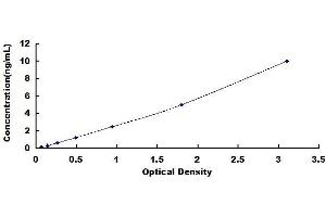 Typical standard curve (Cyclin B2 ELISA 试剂盒)