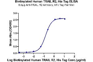 Immobilized Anti-TRAIL R2 Antibody, hFc Tag at 5 μg/mL (100 μL/well) on the plate.