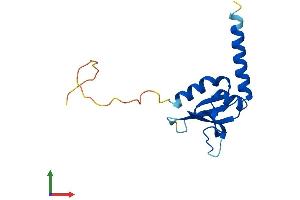 AlphaFold protein structure predicition of Mouse Recombinant Gskip Protein, UniprotID Q8BGR8