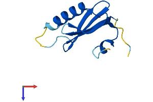 LAMTOR4 Protein (AA 1-99) (His tag)