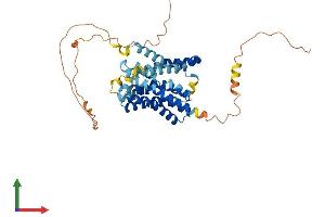 Protein Structure (PS) image for Solute Carrier Family 10 (Sodium/bile Acid Cotransporter Family), Member 4 (SLC10A4) (AA 1-437) protein (His tag) (ABIN7549877)