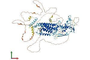 Protein Structure (PS) image for Rhomboid 5 Homolog 2 (RHBDF2) (AA 1-827) protein (His tag) (ABIN7564282)