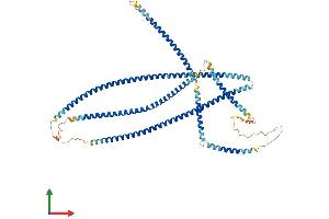 AlphaFold protein structure predicition of Mouse Recombinant Jakmip1 Protein, UniprotID Q8BVL9