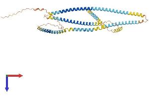 SPZ1 Protein (AA 1-430) (His tag)
