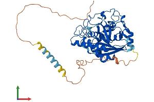 Protein Structure (PS) image for Glycoprotein Galactosyltransferase alpha 1, 3 (GGTA1) (AA 1-394) protein (His tag) (ABIN7562977)