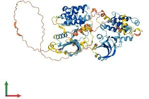 AlphaFold protein structure predicition of Mouse Recombinant Rps6ka6 Protein, UniprotID Q7TPS0