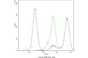 Flow cytometry testing of human U-87 MG cells with CHRNA3 antibody at 1ug/10^6 cells (blocked with goat sera) (CHRNA3 抗体)